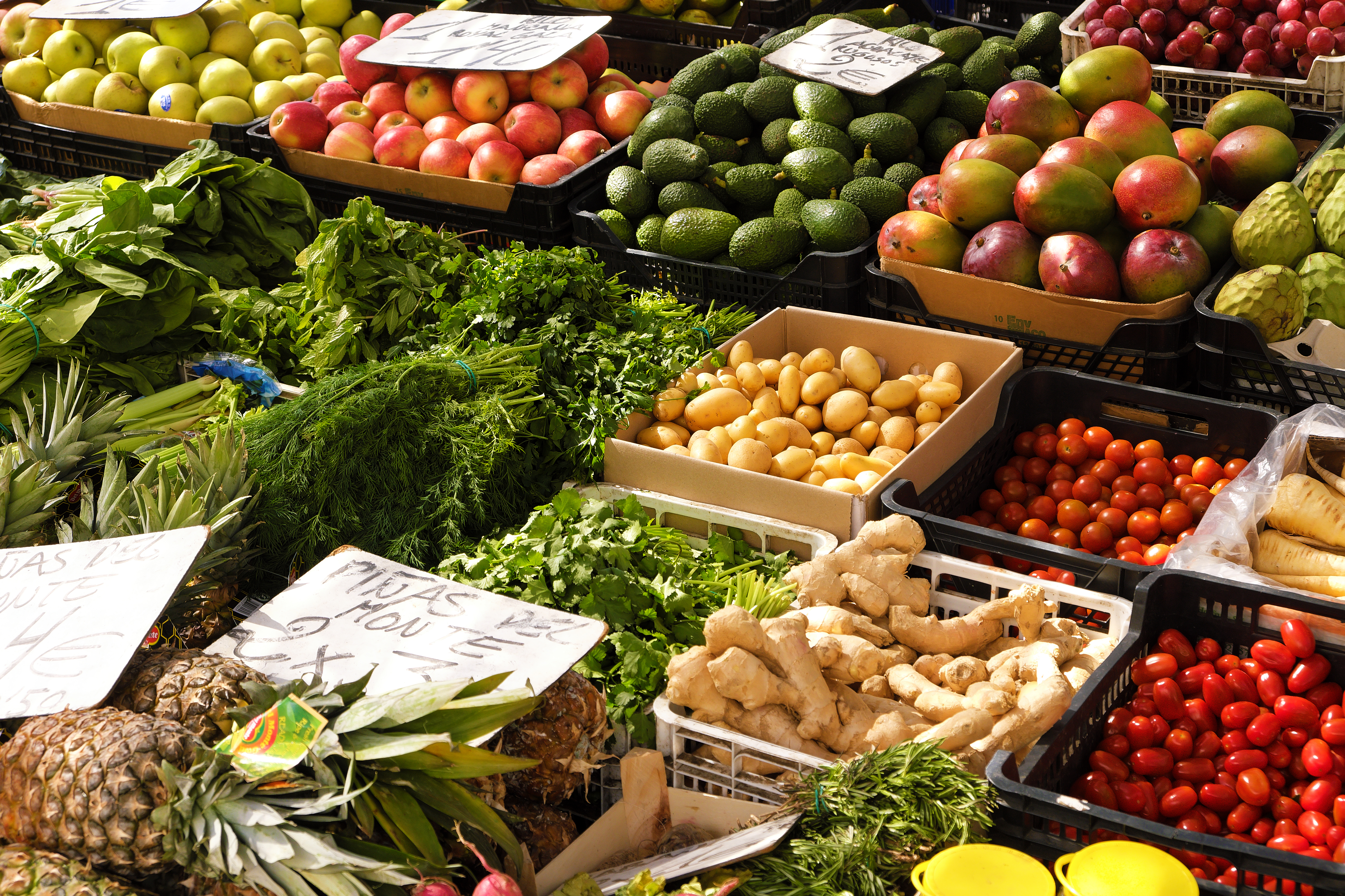 Frutas Novas todos os dias